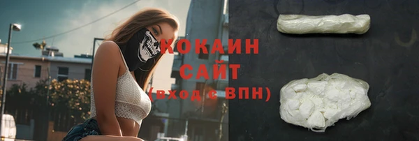 МДПВ Краснослободск