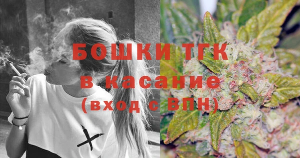 твердый Коряжма