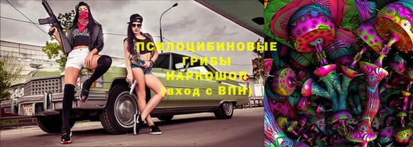 дурь Корсаков