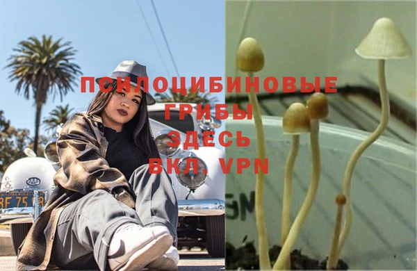 дурь Корсаков