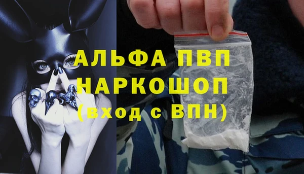 твердый Коряжма