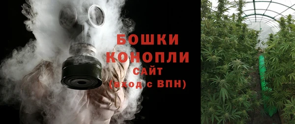 МДПВ Краснослободск