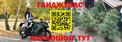 сатива Коммунар